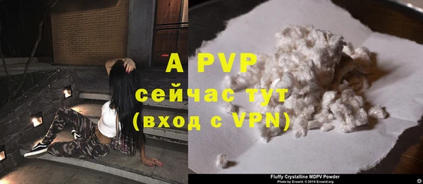 PSILOCYBIN Нефтекумск