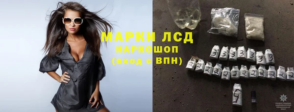 стафф Арсеньев