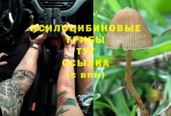 не бодяженный Армянск