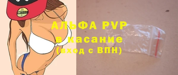 стафф Арсеньев