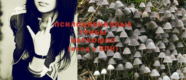 не бодяженный Армянск