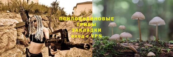 ALPHA PVP Аркадак